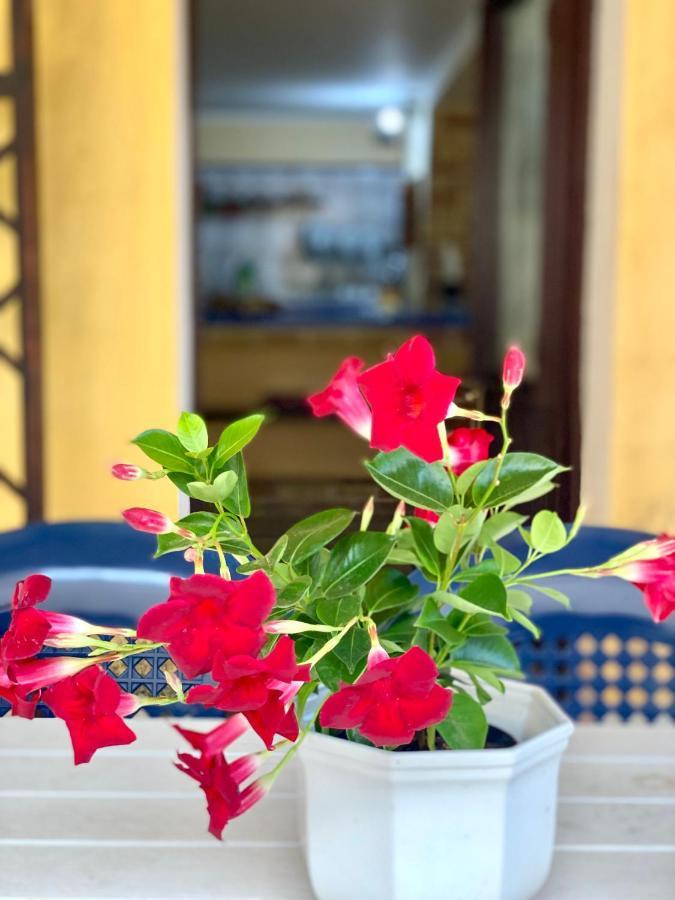 La Casa Dei Bouganville - Lo Stagnone Isole Egadi Marsala Bagian luar foto